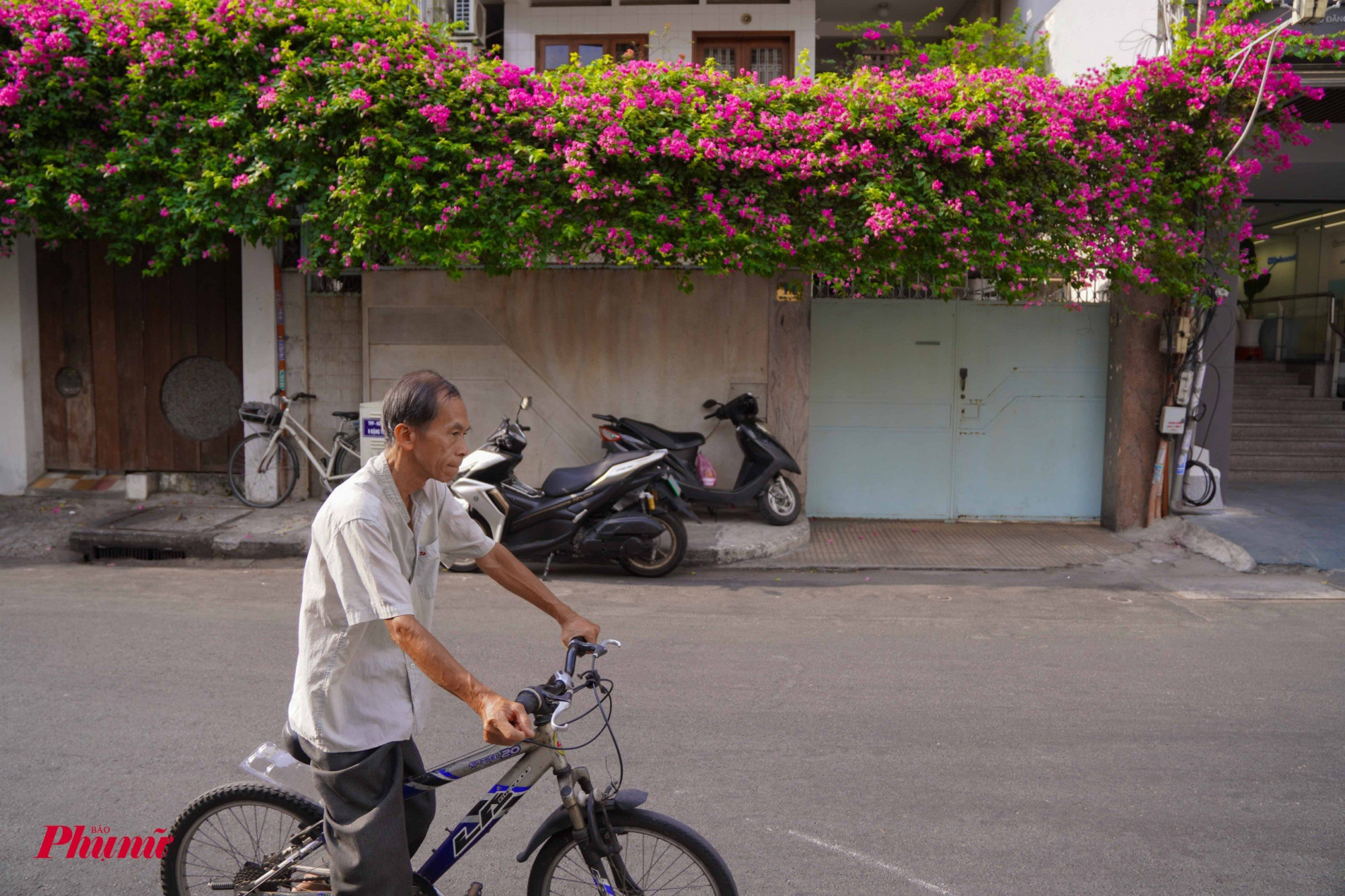 Trước cổng nhà, đầu hẻm, tường rào trên con đường Đặng Tất được tô điểm bởi giàn hoa giấy khoe sắc.