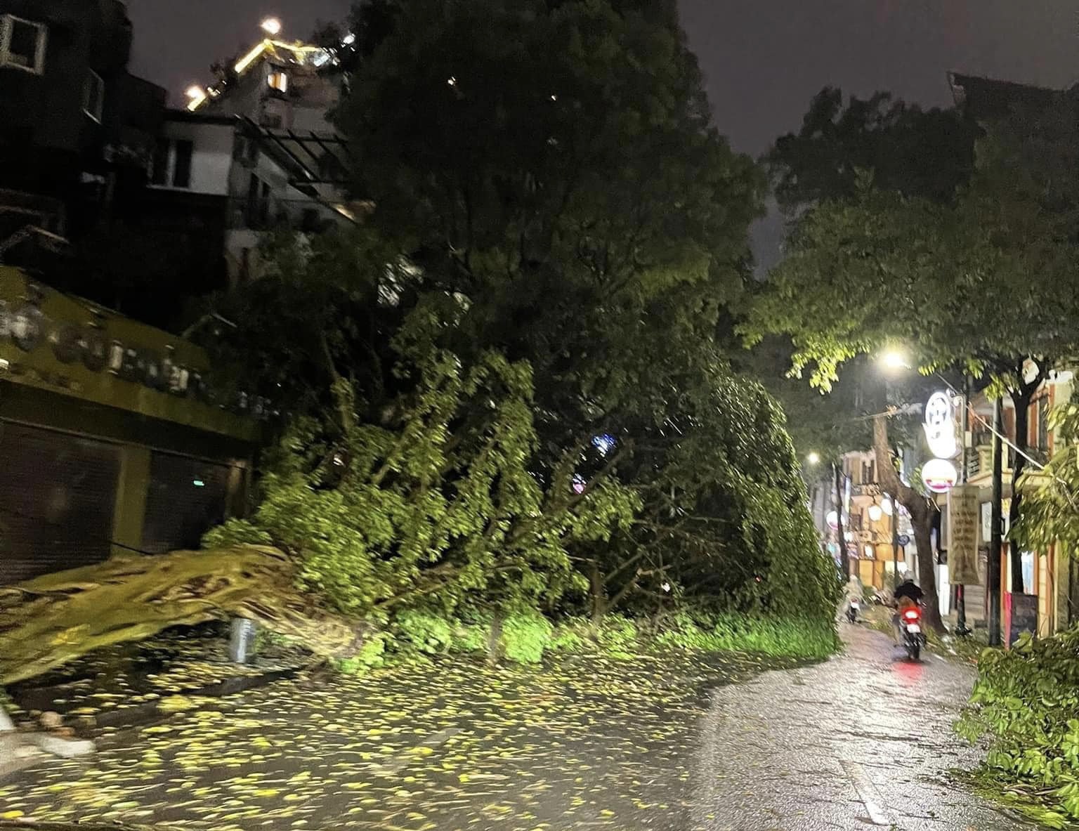 Trên phố phố Quán Sứ, Tràng Thi có 3 cây cổ thụ bật gốc cùng nhiều cây nhỏ và cành gãy xuống đường. Xe ô tô biển kiểm soát 30E-434.xx bị cây đổ vào làm hư hỏng phần đầu. Trên phố Bà Triệu, Nhà Chung… cũng ghi nhận cây đổ. Địa bàn Hoàn Kiếm được ghi nhận có lượng mưa lớn nhất toàn thành phố khoảng 20-40 mm.