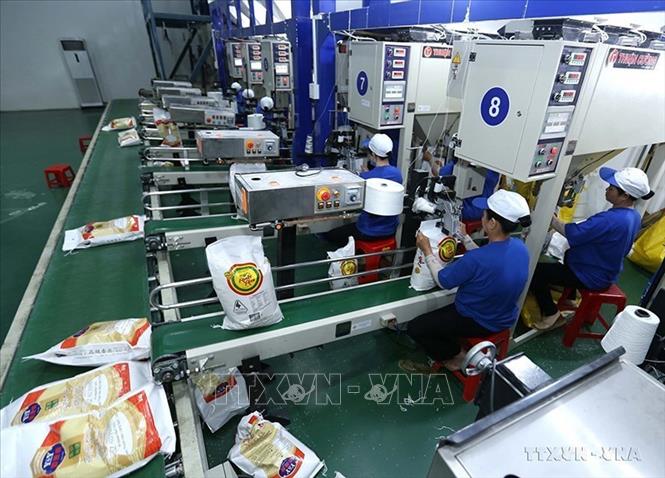 Dây chuyền đóng bao gạo xuất khẩu tại nhà máy của Công ty CP nông nghiệp công nghệ cao Trung An (Cần Thơ) - Ảnh: TTXVN