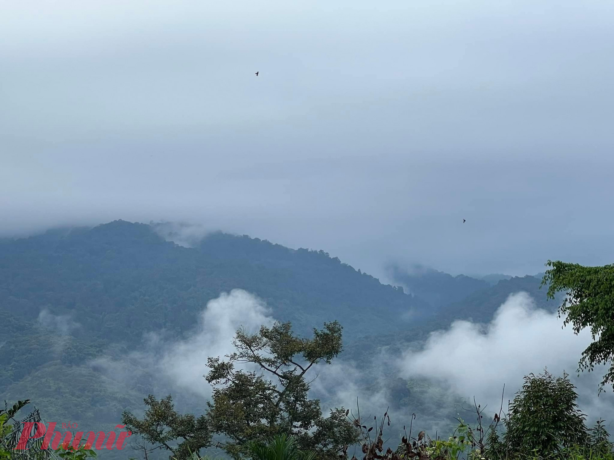 Ghé thăm Farm của bạn