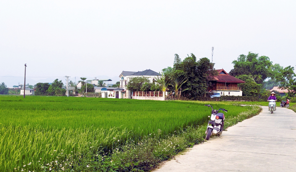 Bản làng của xã Thanh Xương bên cánh đồng Mường Thanh trù phú
