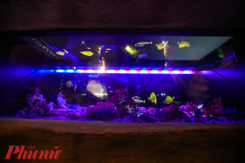 Các bể cá được xây dựng hệt như những bể thuỷ sinh thông thường, chỉ khác là các sinh vật được mô phỏng dựa trên công nghệ hologram hiện đại.
