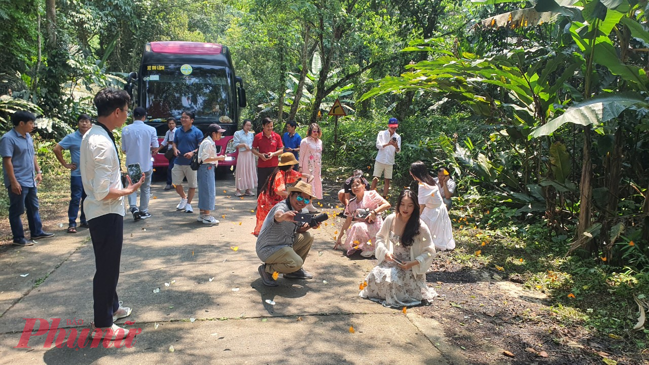 Rừng quốc gia Cúc Phương được thiên nhiên ưu ái ban tặng hệ sinh thái đa dạng và phong phú. Nơi đây có tới 2234 loài thực vật bậc cao và rêu, 122 loài bò sát và lưỡng cư, 66 loài cá, gần 2000 loài côn trùng, 135 loài thú, 336 loài chim cư trú. Trong đó có nhiều loài được ghi vào sách đỏ, đây là điểm đến hấp dẫn cho những người yêu thiên nhiên. 