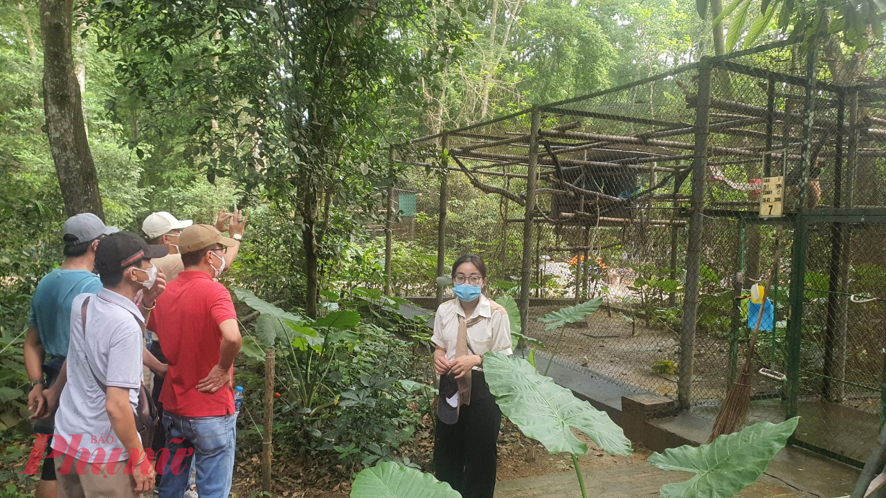 Trong rừng Cúc Phương, du khách còn được đi tham quan và tìm hiểu về các loài linh trưởng tại Trung tâm cứu hộ bảo tồn và phát triển sinh vật thuộc Chương trình bảo tồn linh trưởng Việt Nam