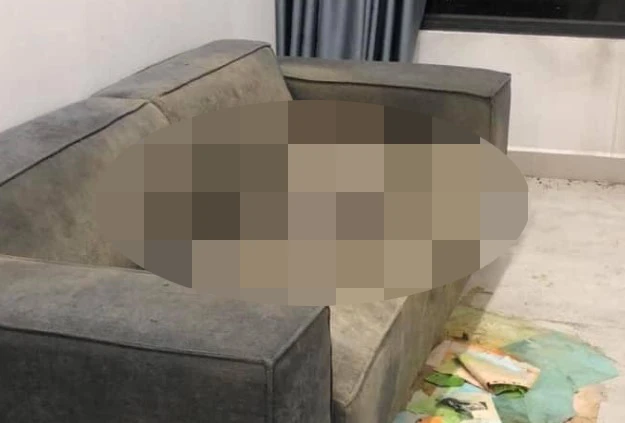 Thi thể cô gái được phát hiện đã khô trên sofa
