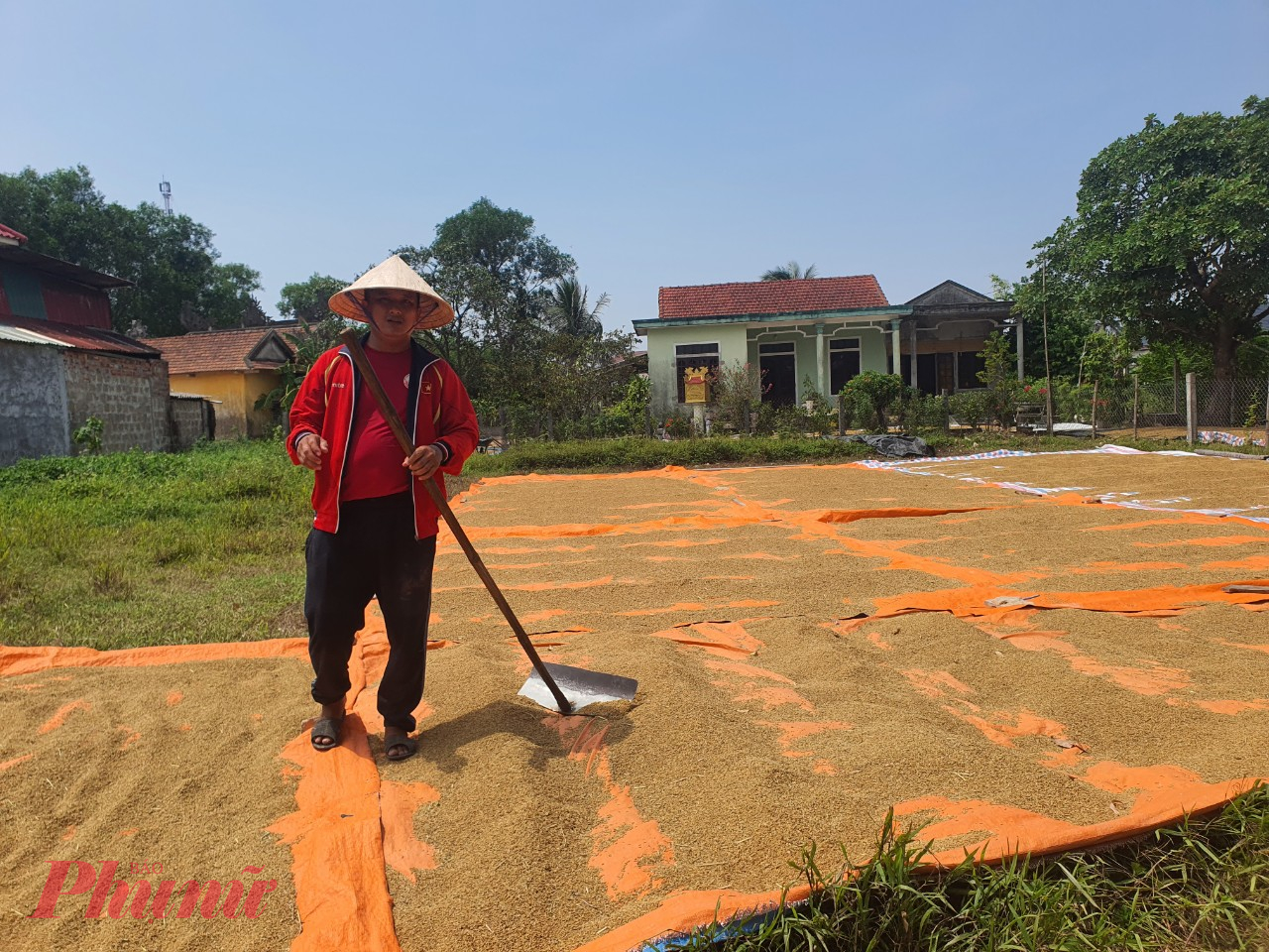 Những người phải làm công việc thường ngày cũng thay đổi thời gian làm việc, buổi sáng làm sớm hơn và nghỉ lúc 10g. Buổi chiều làm việc từ lúc 3g.