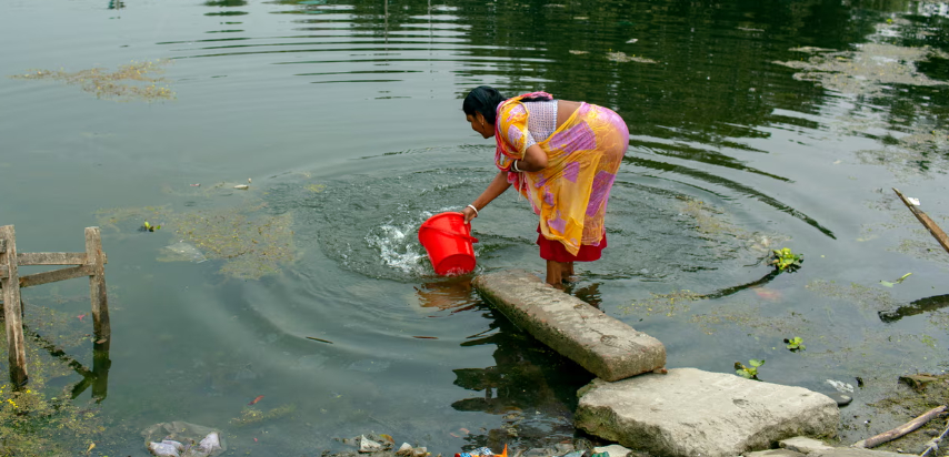 Nhưng không chỉ có hổ phải đối mặt với mối đe dọa hiện hữu. Hơn 3,5 triệu người sống ở rìa Sundarbans, kiếm sống bằng nghề đánh cá, lấy mật ong hoặc gỗ và canh tác tự cung tự cấp. Hơn 40% hộ gia đình sống dưới mức nghèo khổ và tình trạng khẩn cấp về khí hậu đã khiến cuộc sống ở đây càng khó khăn hơn. Khi mực nước biển dâng cao, các hòn đảo biến mất và độ mặn của nước ngày càng tăng đe dọa sức khỏe của rừng ngập mặn cũng như chất lượng đất và cây trồng. Sự gián đoạn đối với quần thể cá khiến những người dân làng tuyệt vọng thường không có nhiều lựa chọn ngoài việc dấn thân vào sâu hơn trong rừng, khiến họ dễ bị hổ tấn công hơn. Chính phủ Bangladesh đang xây dựng một hàng rào dài hàng chục km để ngăn hổ tấn công người. Những nhóm dân làng nơi này được huấn luyện để xua hổ quay trở lại rừng. 
