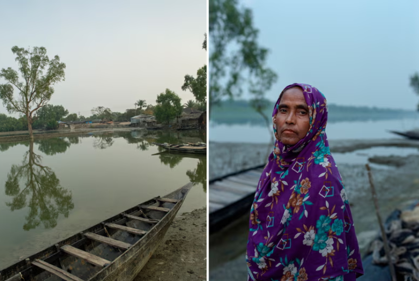 Cách đó vài căn nhà là Reshma Khatun, 38 tuổi, có chồng bị hổ cắn chết bốn năm trước. Abdul Gazi đã thu thập mật ong từ Sundarbans trong hơn một thập kỷ. Một buổi tối, khi anh đang chuẩn bị nấu ăn ở một khu cắm trại trong rừng, một con hổ vồ lấy anh.  Kể từ khi qua đời, Khatun đã phải vật lộn để chu cấp cho hai cậu con trai của họ. Những góa phụ hổ lẽ ra sẽ nhận được khoản bồi thường của chính phủ là 300.000 taka (2.190 bảng Anh) nhưng trên thực tế rất khó để yêu cầu bồi thường và số tiền này không đủ cho những gia đình đã mất đi người trụ cột duy nhất trong gia đình. Phụ nữ góa bụa trước khi chính sách này có hiệu lực vào năm 2011 cũng không đủ điều kiện.