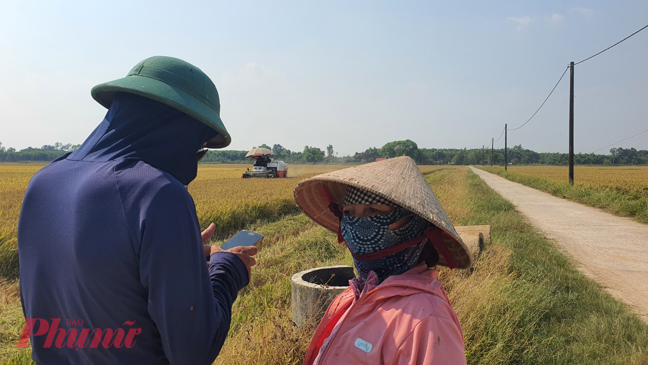 2g chiều, trời vẫn nắng như chính ngọ, nhiều nông dân trùm kín mít ra đồng để kịp thu hoạch lúa.