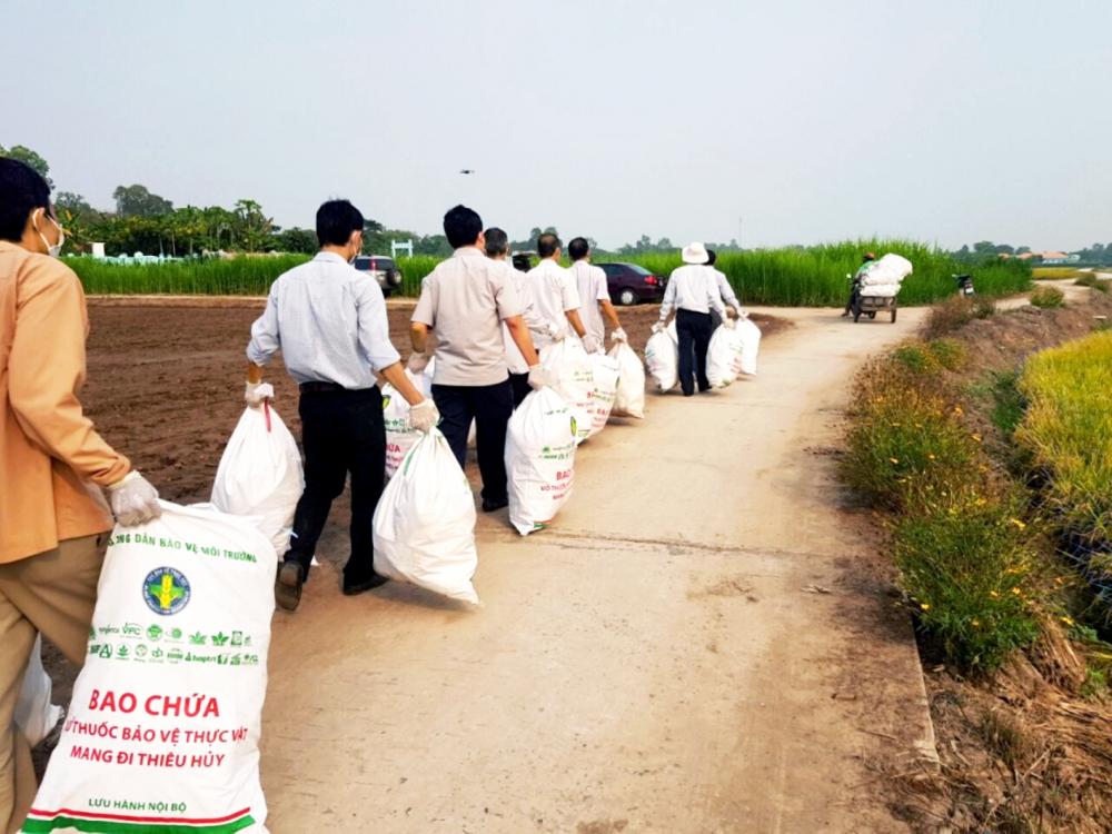 Cán bộ kỹ thuật của Tập đoàn Lộc Trời cùng nông dân An Giang thu gom bao bì, chai lọ thuốc bảo vệ thực vật, đưa ra khỏi đồng ruộng, nhằm bảo vệ môi trường