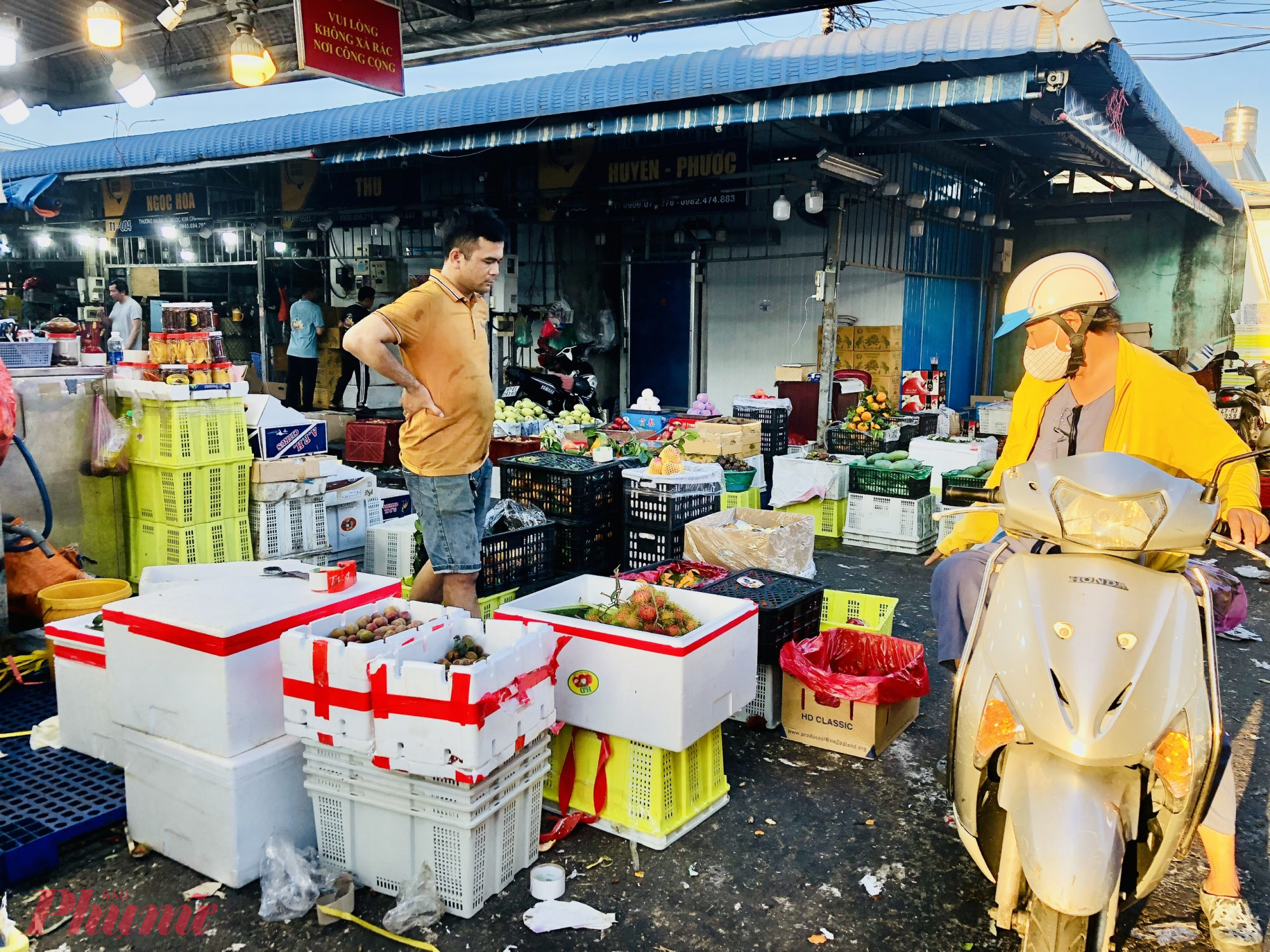 Mận hậu Mộc Châu (Sơn La) còn gọi là mận Bắc, mận Hà Nội cũng vừa mới vào mùa nên số lượng vựa bán mận hậu chưa nhiều.