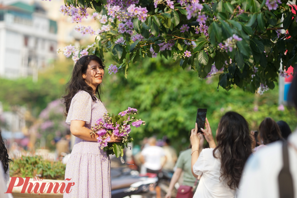 Theo anh Long (Hoàng Cầu, người chụp những bức ảnh về cây bằng lăng này): 'Hôm kia, tôi có chụp vài bức ảnh về cây bằng lăng này, lúc ấy hoa tím biếc và nhiều lắm, dày đặc. Đến hôm nay thì nhạt bớt màu và cũng không còn ken đặc hoa như hôm qua nữa'.