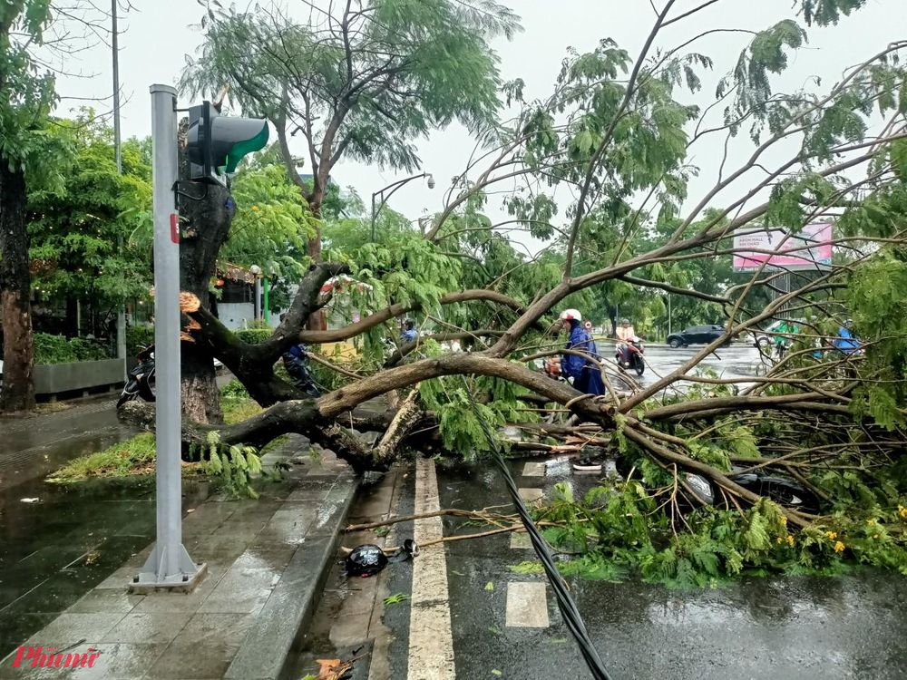 Sau trân mưa dông cây xanh ngã đỗ trên đường phố Huế