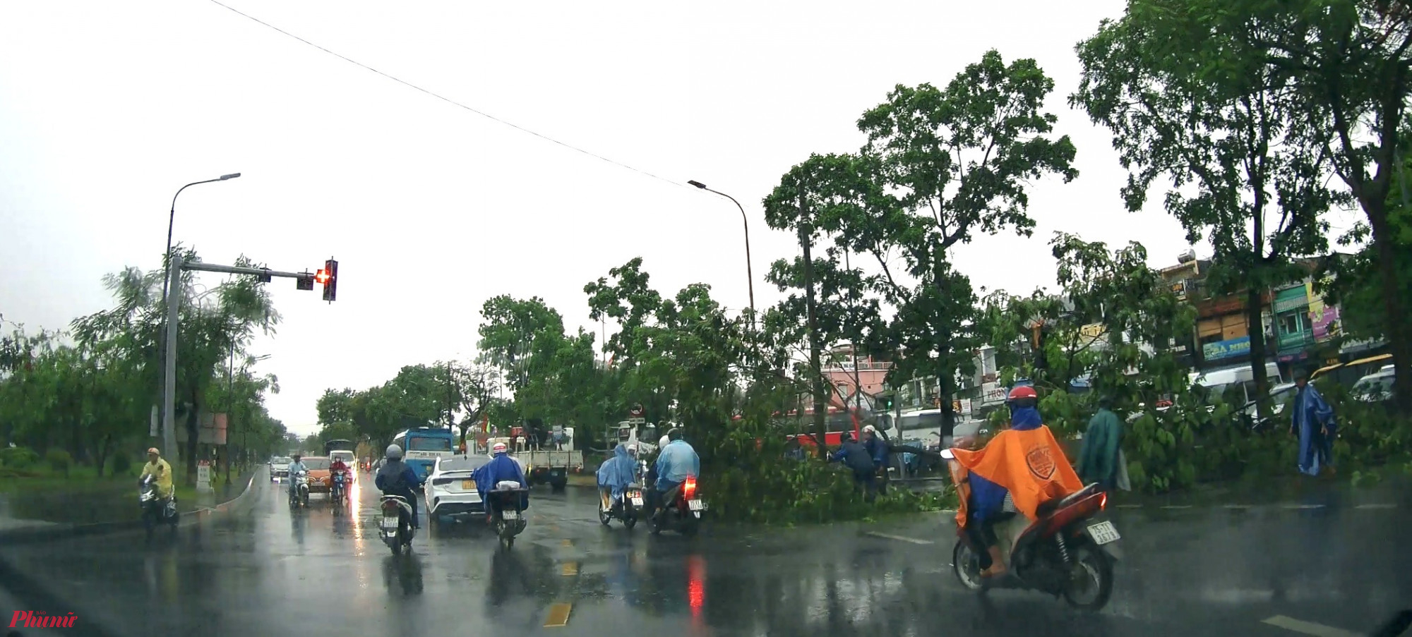 Cành cây gãy ngang ở đường Trần Hưng Đạo TP Huế