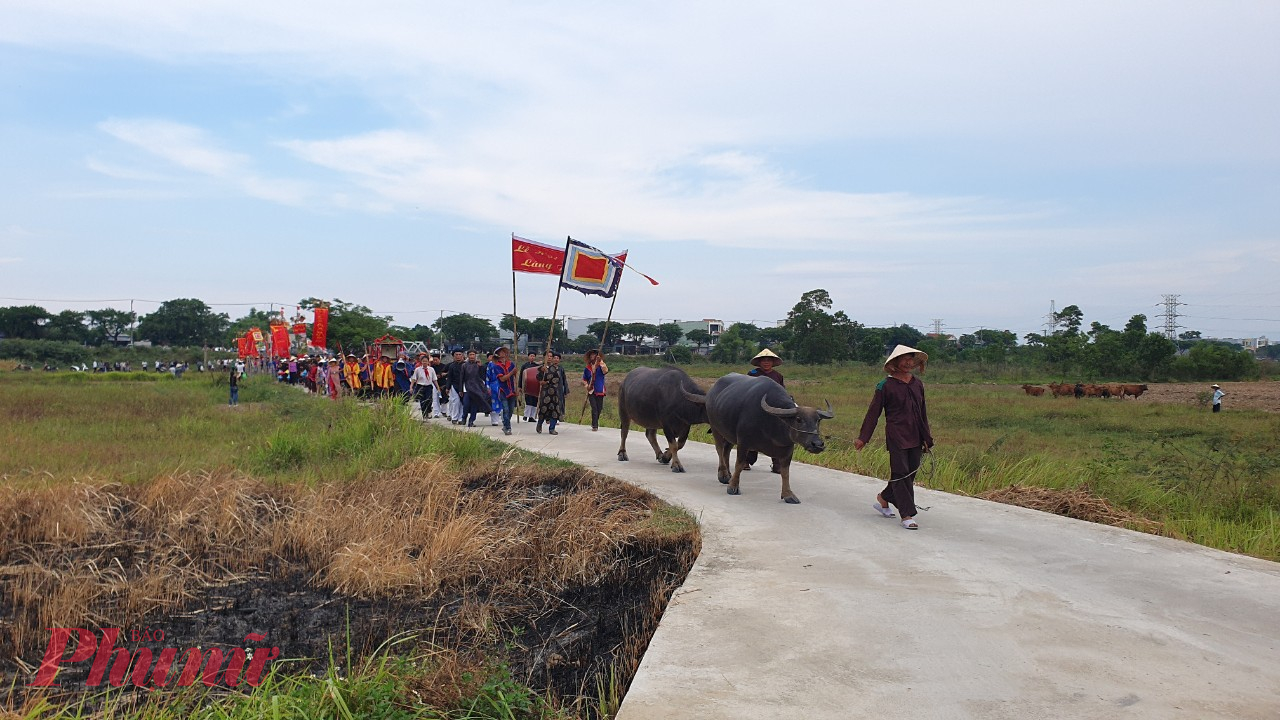 Một hôm có đàn trâu chạy lạc lên cồn, đám trẻ chăn trâu đến tìm, nhưng không trẻ nào hề hấn gì. Từ đó tiếng đồn gần xa là Cồn Thần chỉ cho các trẻ chăn trâu đến gần mà thôi. Xóm Cồn về sau được gọi là xóm Đồng, là nơi tụ tập của các mục đồng trong làng. Xuất phát từ câu chuyện lạ lùng ấy, sau nhiều thế hệ dần hình thành một lễ hội dành riêng cho trẻ chăn trâu, gọi là lễ hội Mục đồng làng Phong Lệ, diễn ra vào ngày mùng một tháng Tư âm lịch hàng năm.