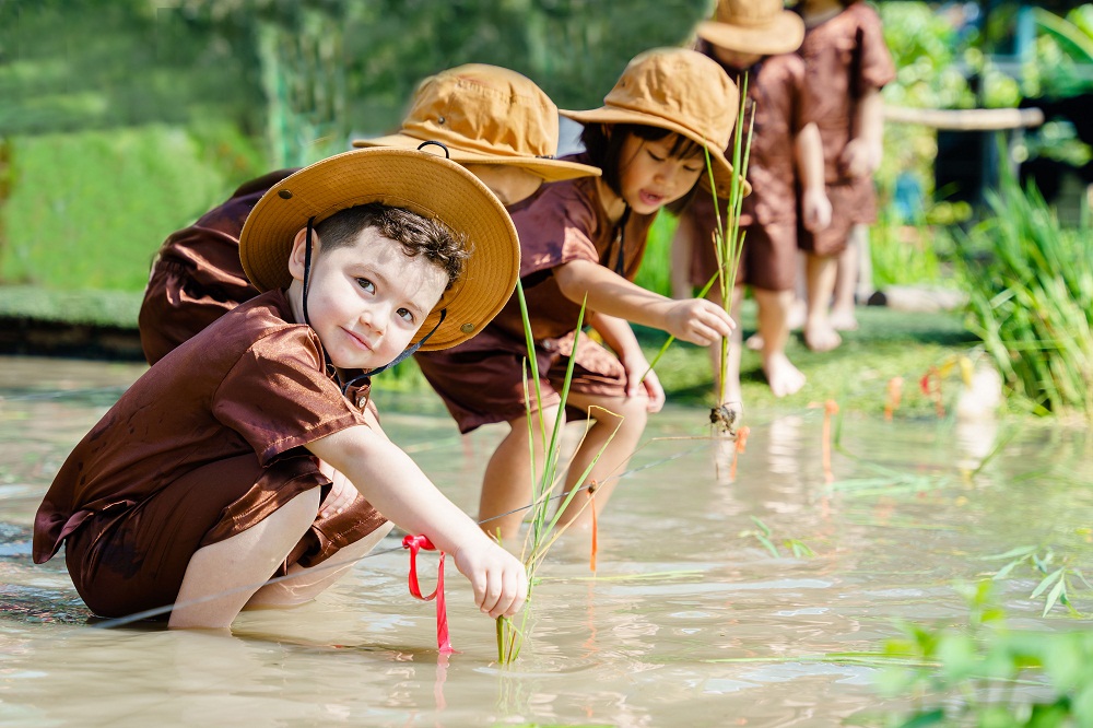 Học sinh Royal School thích thú khi lần đầu tiên trồng lúa - Ảnh: Royal School