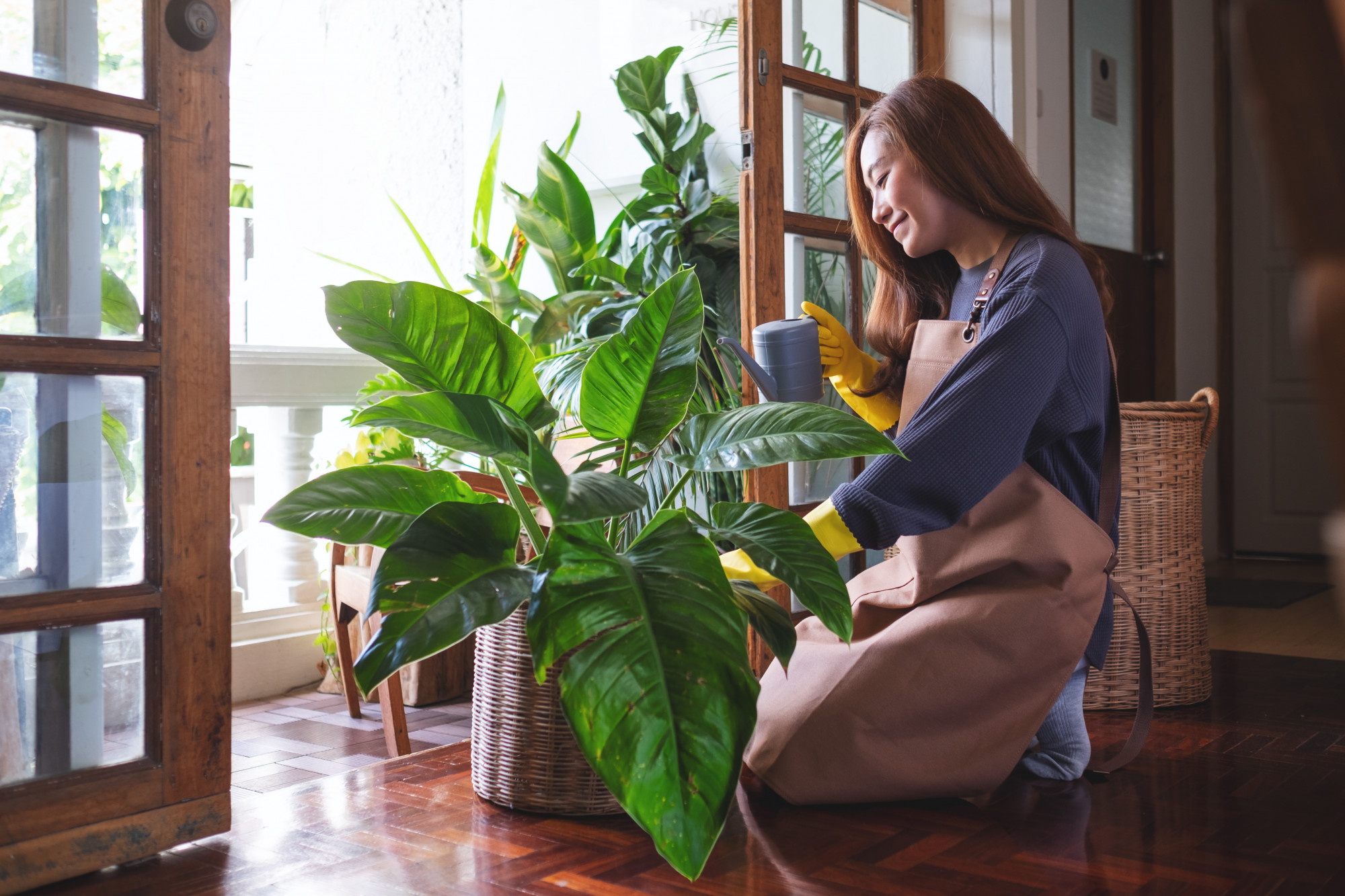 Ảnh mang tính minh họa - Shutterstock