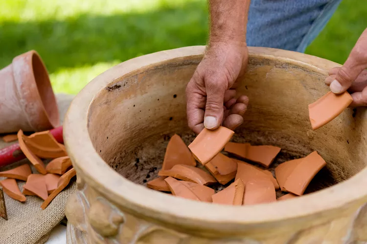 Sỏi ở đáy thùng giúp thoát nước. Một lần nữa, việc thêm các mảnh chậu hoặc đá vào đáy chậu để thoát nước từng là một phương pháp được khuyến khích, nhưng người ta phát hiện ra rằng nó thực sự có tác dụng ngược lại, ngăn nước thoát ra ngoài dễ dàng. Bạn chỉ cần một chiếc chậu có lỗ thoát nước ở đáy để nước thừa thoát ra ngoài để rễ cây luôn được thông thoáng. Bạn không cần phải thêm một lớp sỏi hoặc mảnh chậu để hỗ trợ.  Chuyên gia làm vườn CL Fornari viết trong cuốn sách của mình, Cà phê cho hoa hồng…: “Đặt bất cứ thứ gì vào đáy chậu đều không tốt cho cây trồng” và 70 lầm tưởng sai lầm khác về việc làm vườn ở sân sau. Các nghiên cứu đã chỉ ra rằng sự chuyển động của nước qua giá thể trồng trọt bị cản trở chứ không được hỗ trợ bởi một lớp vật liệu thô ở đáy chậu, theo báo cáo của Đại học bang Pennsylvania. Cái gọi là lớp đá thoát nước đó cũng có thể chặn lỗ thoát nước và khiến nó không thực hiện được công việc của mình.