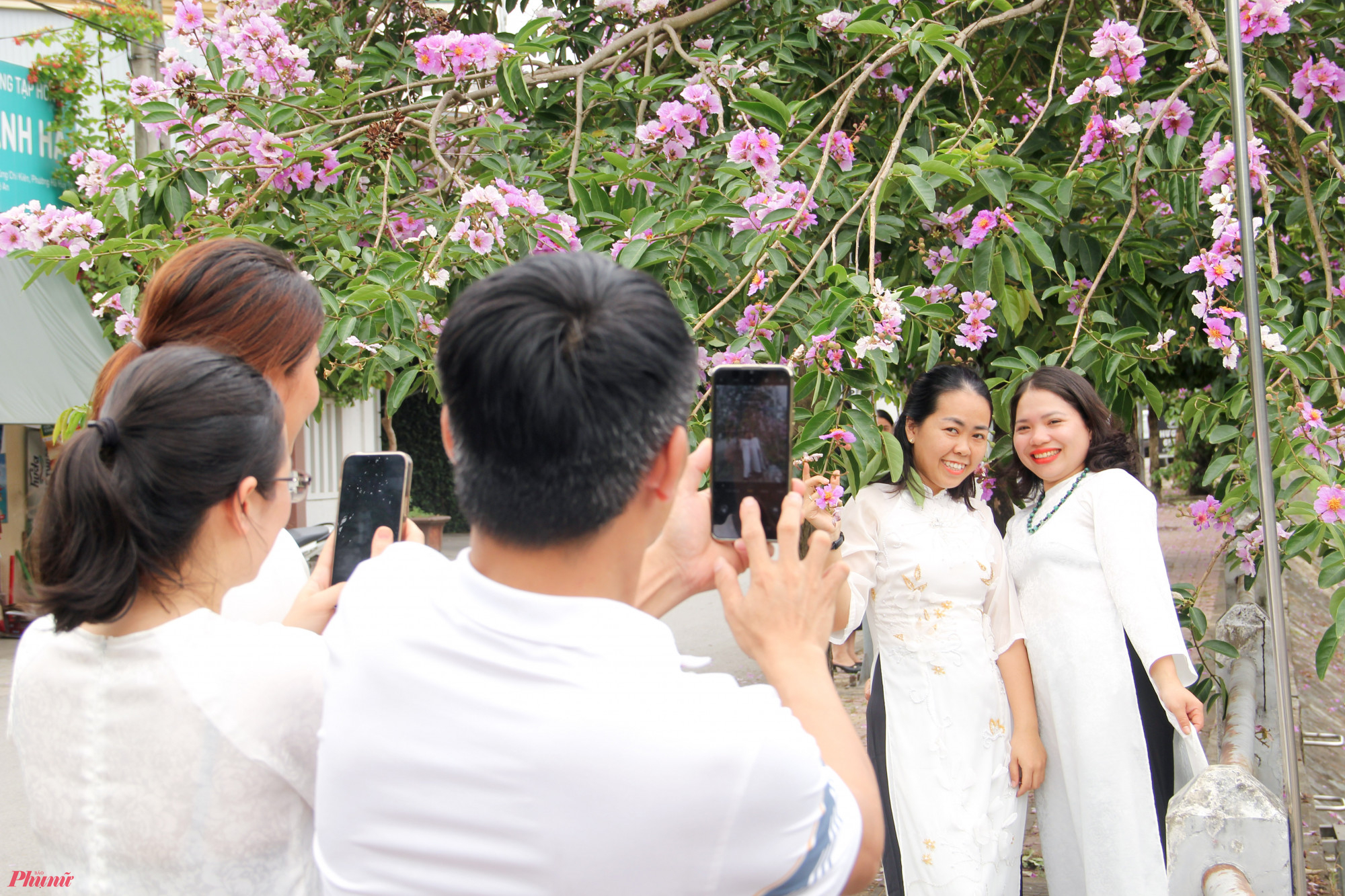 Tranh thủ những ngày hoa bằng lăng bung nở, nhiều chị em “xúng xính” váy, áo dài kéo nhau tới check-in, chụp những bộ ảnh kỷ niệm cùng bạn bè.