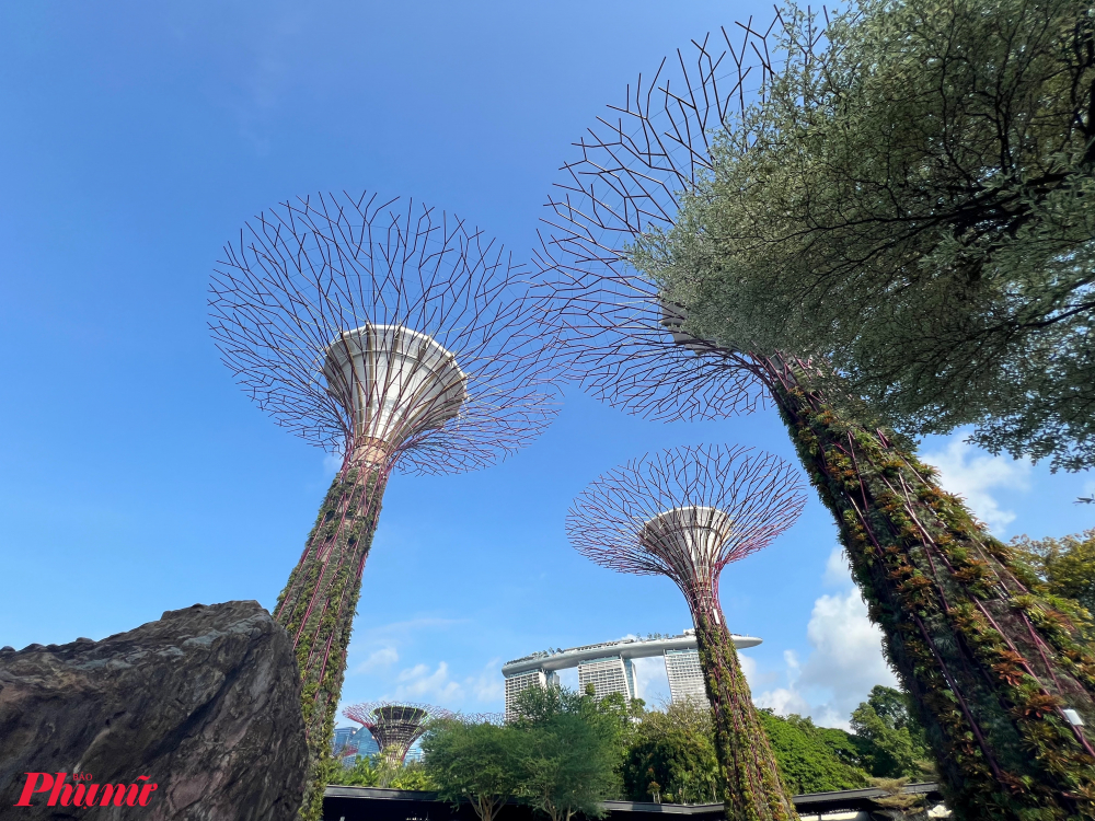 Khu vườn Gardens by the Bay với diện tích 101 hecta, địa điểm tham quan nổi tiếng của Singapore tọa lạc trên vịnh Marina Bay.  Đây không nơi dừng chân lý tưởng cho những người yêu thiên nhiên mà còn thu hút bởi câu chuyện công viên này được xây dựng bằng cách lấn biển mở rộng diện tích của Singapore. Theo đó, quốc đảo này đã mở rộng diện tích từ 581,5km2 ở thập niên 1960 lên 697,25km2 ngày nay và có thể sẽ tăng thêm 100km2 nữa đến năm 2030; (Trong ảnh: Các trụ siêu cây năng lượng mặt trời biểu tượng được nhiều khách check-in khi đến Gardans by the Bay). 
