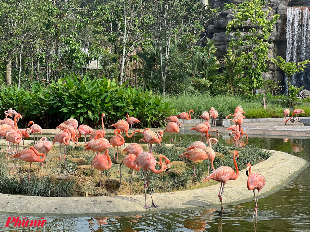 Du khách sẽ được chiêm ngưỡng các loài chim tại 8 khu vực khác nhau, với cảnh quan được mô phỏng giống môi trường sống tự nhiên của chúng từ khắp nơi trên thế giới. Trong đó, khu vực Hoạt động chăm sóc, nghiên cứu và bảo tồn chim giữ vai trò quan trọng tại công viên, với trọng điểm là các loài chim sẻ hót châu Á và hồng hạc. Là môi trường sống của hơn 20 loài, Bird Paradise được nhìn nhận là khu bảo tồn hồng hạc lớn nhất thế giới.