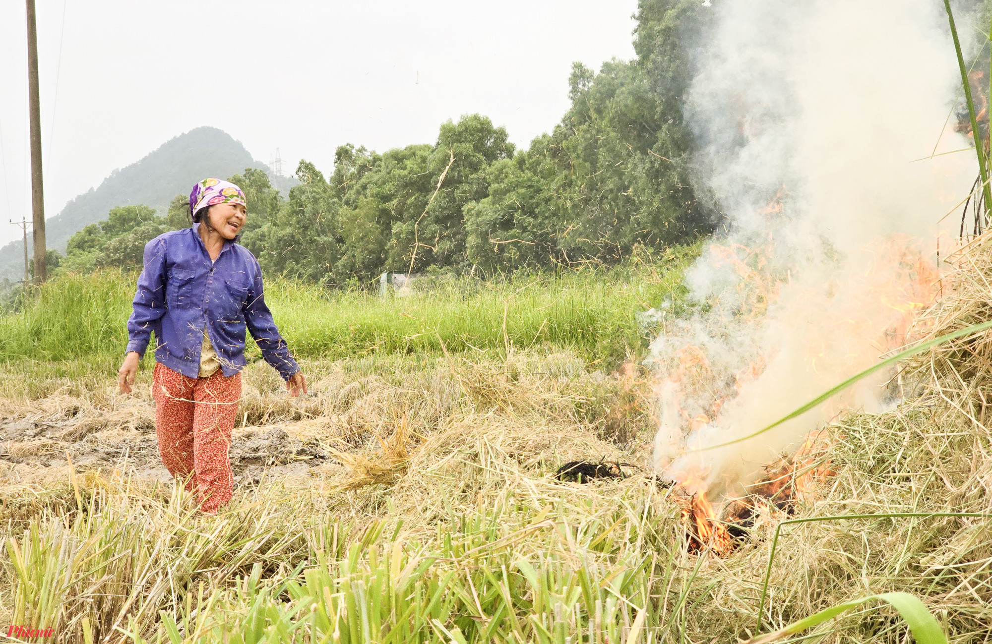 Nghệ An là một trong những địa phương có diện tích đất nông nghiệp lớn nhất cả nước với 1,4 triệu ha. Riêng đối với sản xuất lúa, mỗi năm tỉnh này có hơn 180.00ha vụ xuân và hè Thu. Do đó, lượng phụ phẩm rơm rạ sau mỗi vụ thu hoạch rất lớn, một số người dân vẫn phải đốt bỏ rơm trên ruộng để kịp vụ mùa do không có ai đến thu gom.