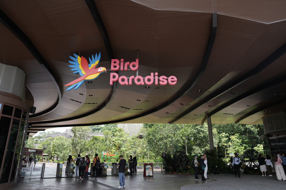 Bird Paradise vừa khai trương vào tháng 5 năm 2023 tại khu bảo tồn động vật hoang dã Mandai (Mandai Wildlife Reserve) ở Singapore, Bird Paradise là một trong những vườn chim lớn nhất Châu Á. Vườn chim rộng 17 hecta này hiện là ngôi nhà của 3.500 chú chim thuộc 400 loài, với 24% trong số đó gồm các loài đang bị đe dọa. 