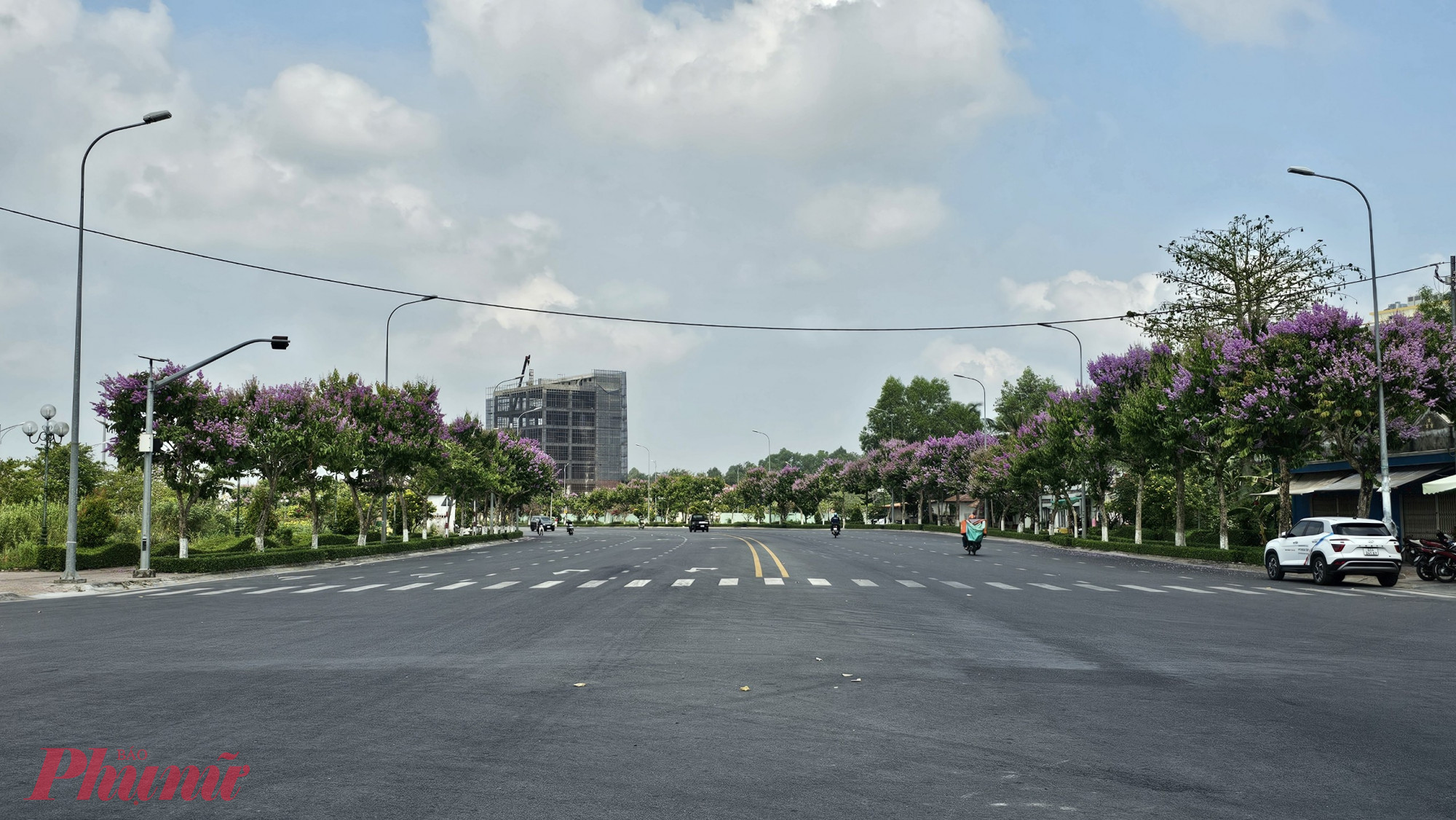 Những công trình trồng, chăm sóc và bảo dưỡng cây xanh có giá trị dưới 1 tỉ đồng, UBND tỉnh Vĩnh Long giao UBND các huyện, thị xã, thành phố tiến hành kiểm tra