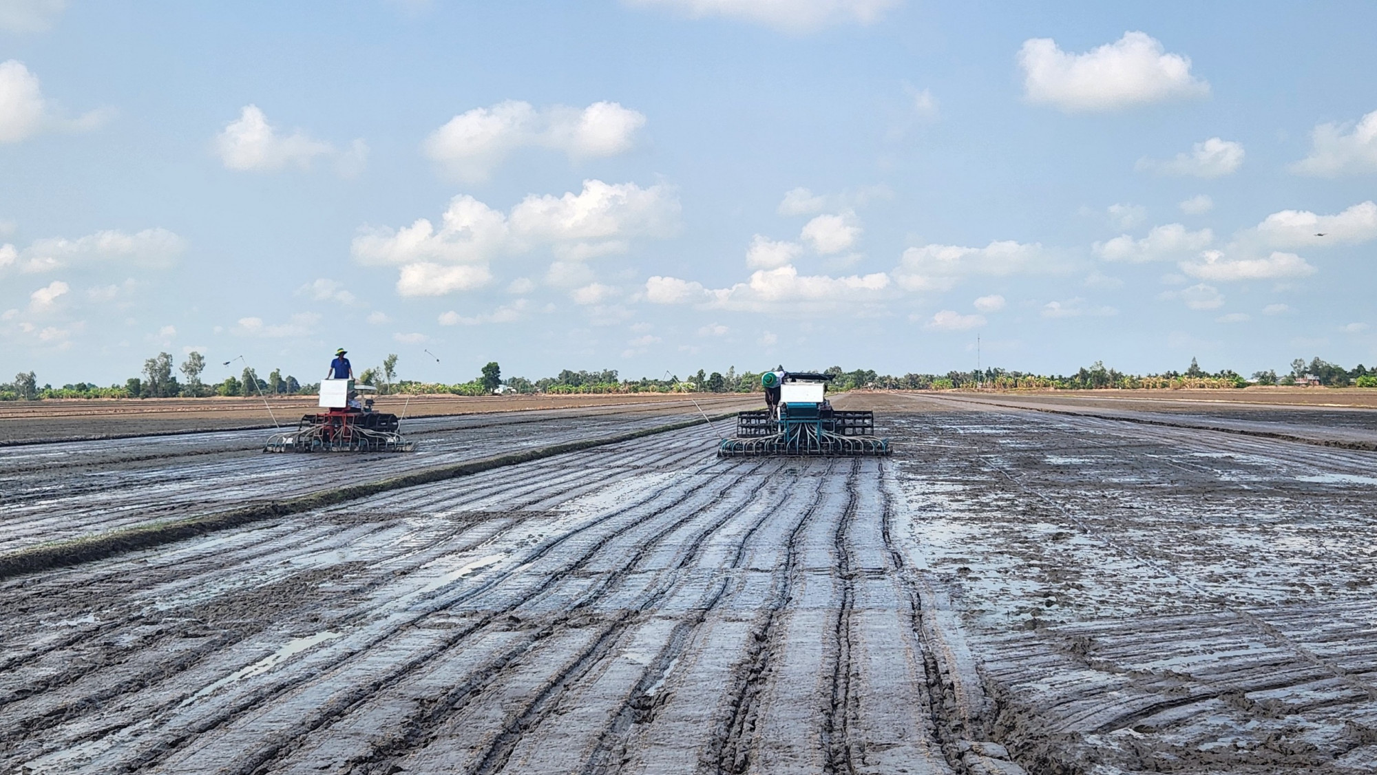 khởi động cánh đồng sản xuất lúa thuộc đề án một triệu ha lúa chất lượng cao, phát thải thấp tại Hợp tác xã Thuận Tiến 