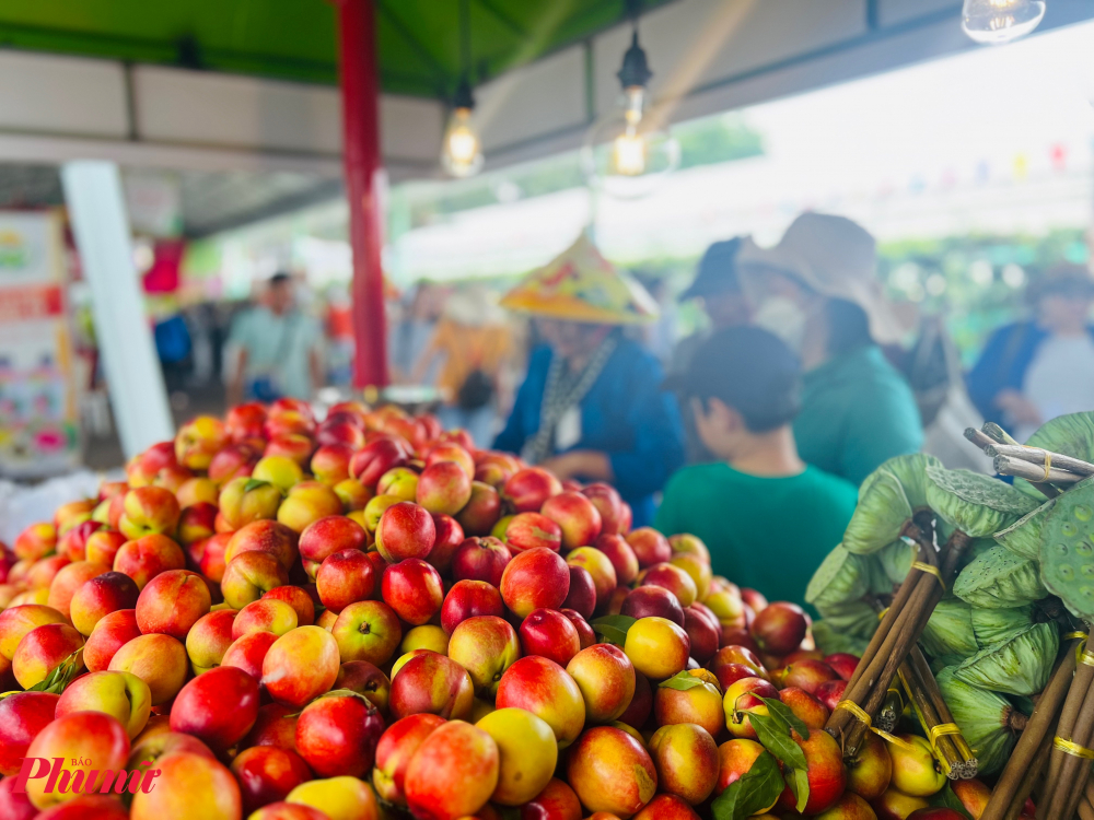 Đào Sapa 29.000 đồng/kg bắt mắt khách hàng.