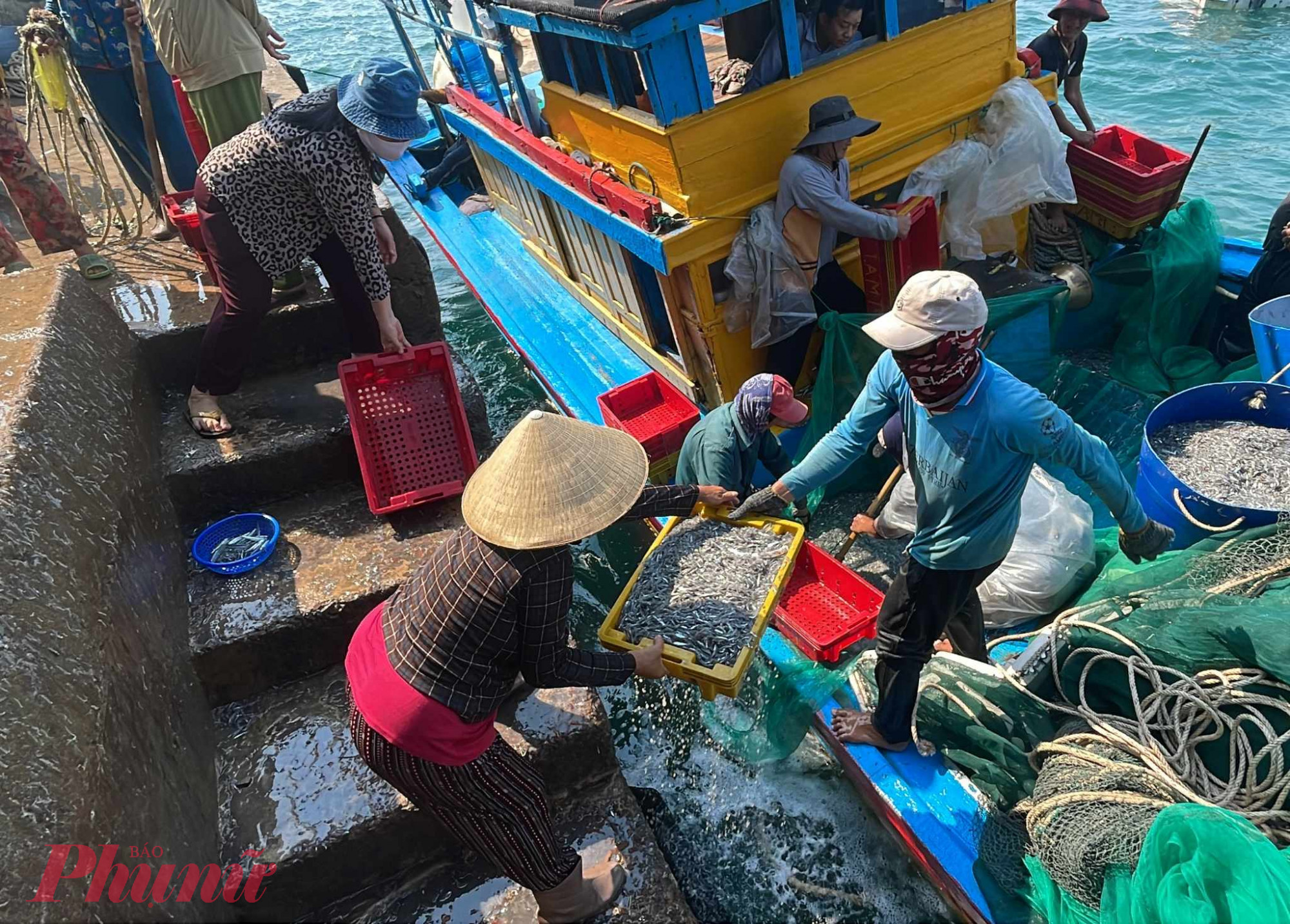 Sáng sớm hôm nay, những ghe thuyền đầy ắp cá tôm mực cập cảng. Theo tuyến đường quốc lộ, hải sản của ngư dân Đại Lãnh được đưa vào Nha Trang, có lúc đưa vào cả TPHCM để tiêu thụ.