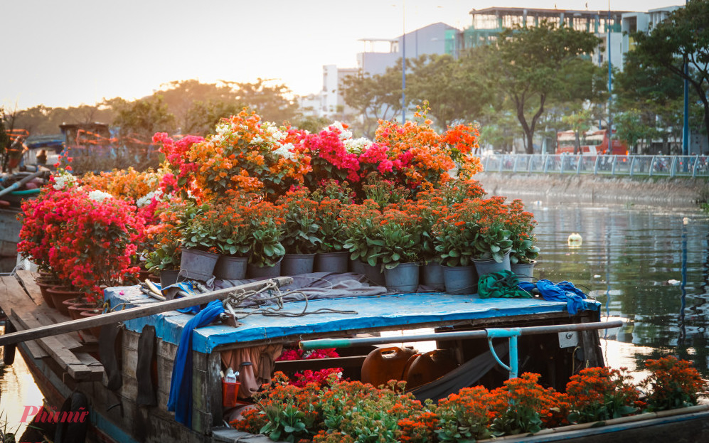 Hình ảnh các ghe hoa của thương hồ miền Tây cập bến Bình Đông vào các dịp Tết. Ảnh: Tam Nguyên