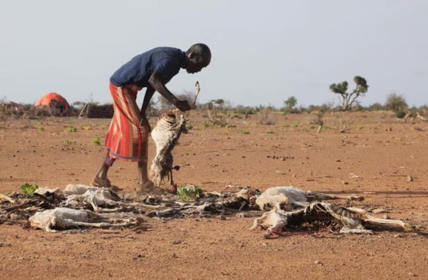 Gần 33 triệu người ở khu vực Sahel cần được viện trợ khẩn cấp - Ảnh: Reuters