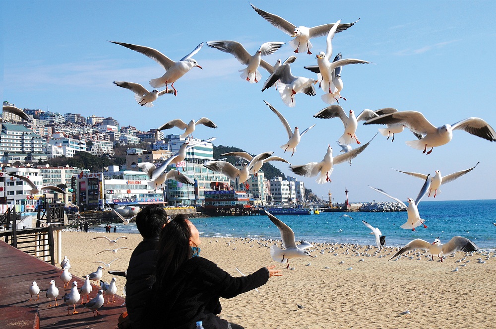 Bãi biển Haeundae, Busan