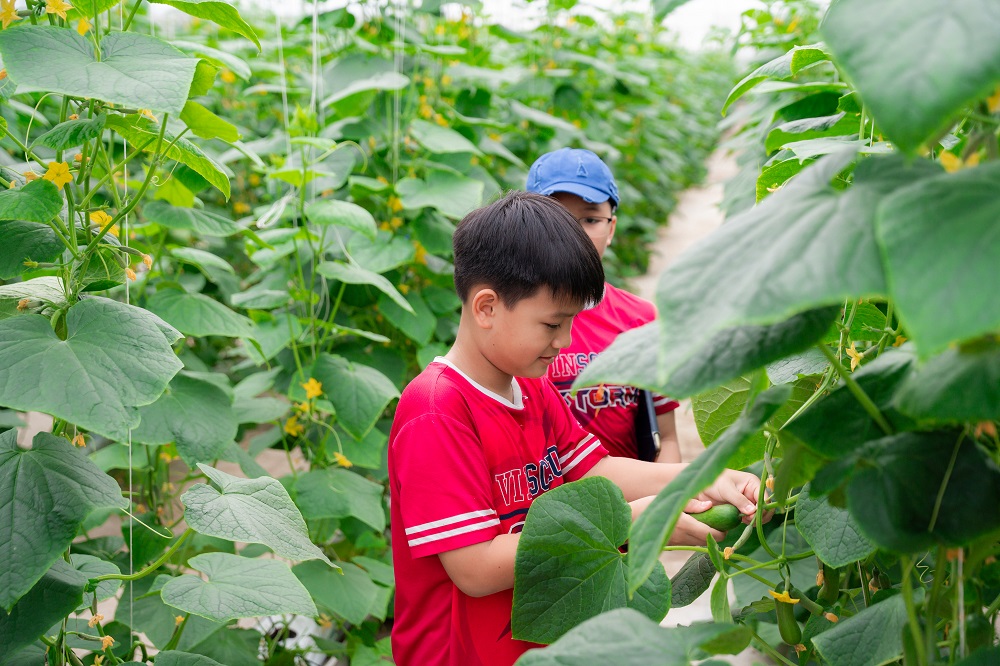 Các “nông dân nhí đều rất yêu thích trải nghiệm khám phá nông trường tại WinEco - Ảnh: Masan