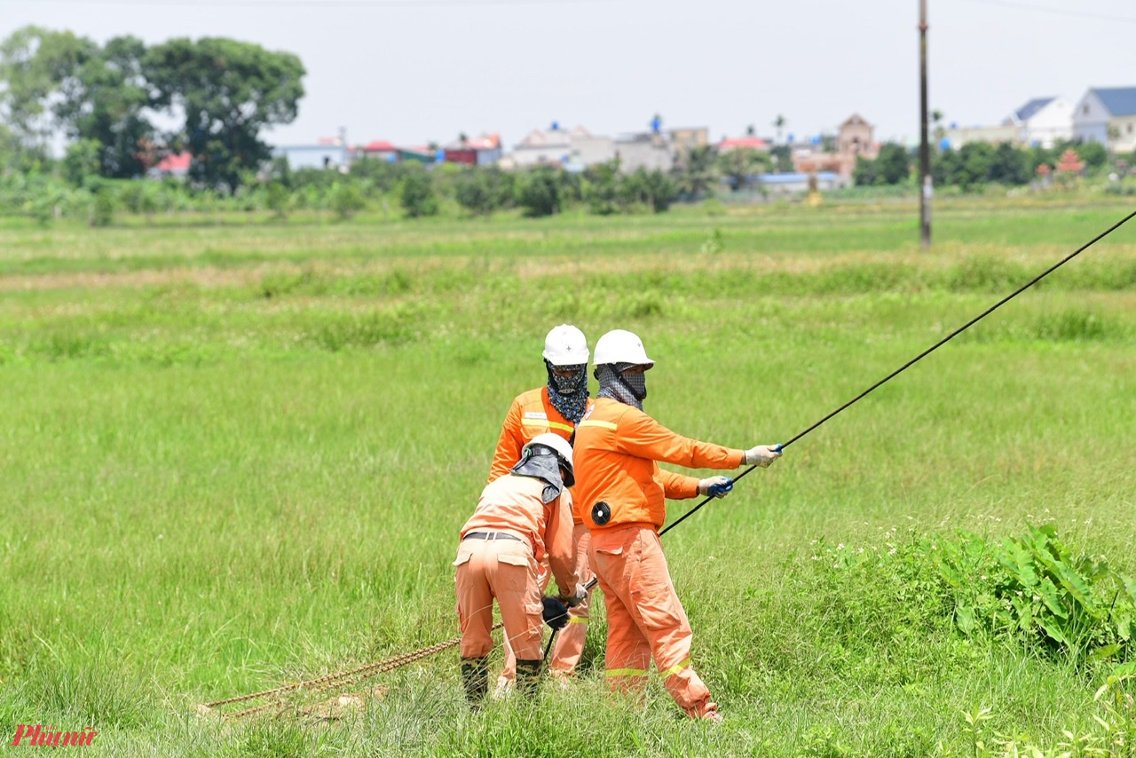 Ngành điện cũng đã huy động tối đa cán bộ, kỹ sư, công nhân làm việc không ngừng nghỉ trên công trường.