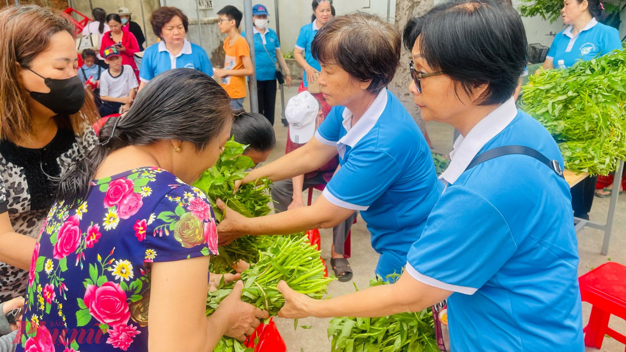 Hội LHPN phường 15, quận Tân Bình tặng rau sạch cho chị em phụ nữ khó khăn
