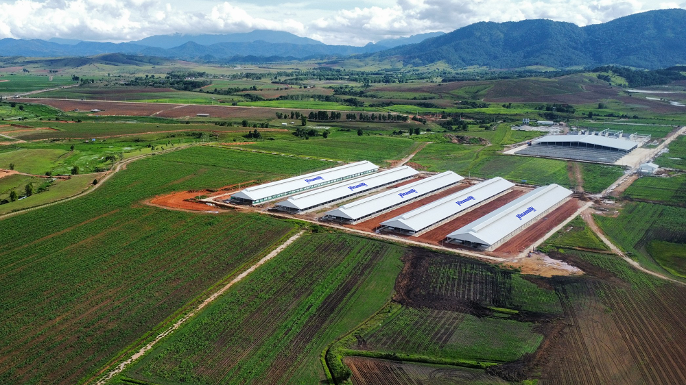 Trang trại Vinamilk Lào - Jagro tại cao nguyên Xiêng Khoảng (Lào) có tổng mức đầu tư giai đoạn 1 là 150 triệu USD