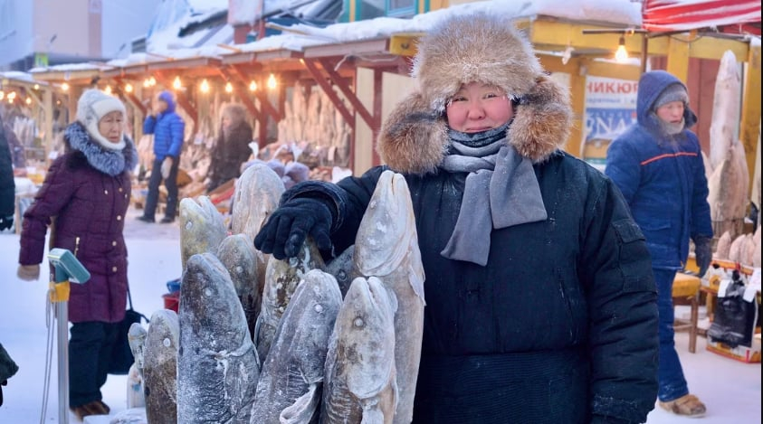 Cá bán ngoài chợ ở Yakutsk không cần phải đông lạnh. Ảnh: Shutterstock