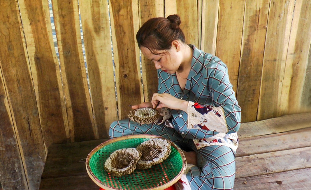 Sau khi có được tổ ong, chị Kim Y đóng gói gửi đi bán khắp nơi trong cả nước
