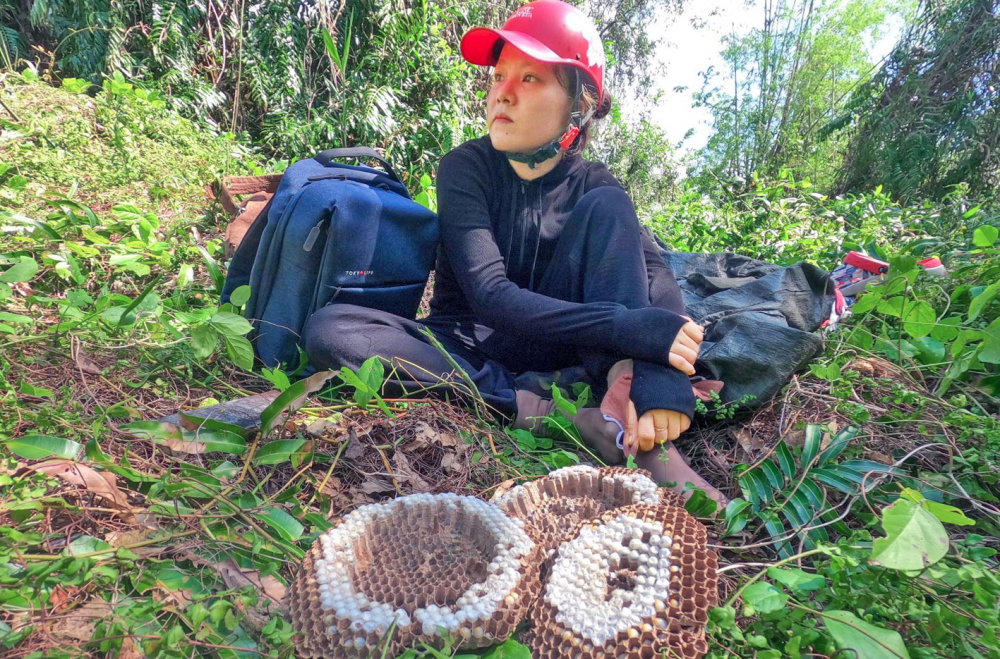 Chị Kim Y thất vọng vì sau gần 2 giờ vất vả trong rừng sâu, tìm được tổ ong thì trong tổ chỉ có một ít nhộng