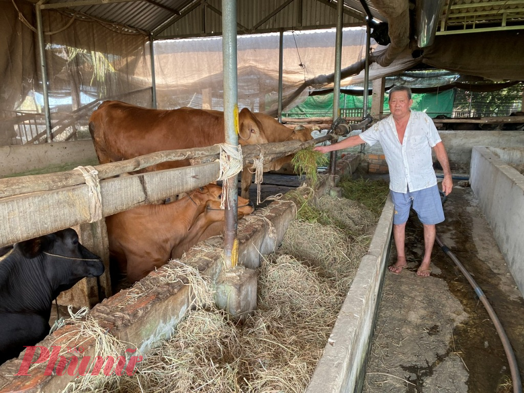 Giám sát ATTP trong quá trình chăn nuôi, vận chuyển động vật nhằm cung cấp các sản phẩm thực phẩm an toàn cho người tiêu dùng 