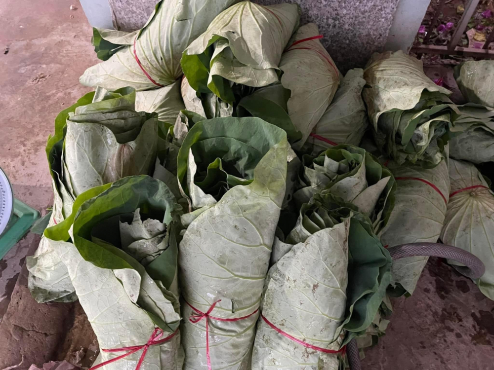 Những bó lá sen được thu hoạch, gói ghém cẩn thận để gửi về thành phố Hồ Chí Minh tiêu thụ. Hiện nay, lá sen được sử dụng khá nhiều và phổ biến trong ẩm thực, mang tới cảm giác dân dã, thân quen.