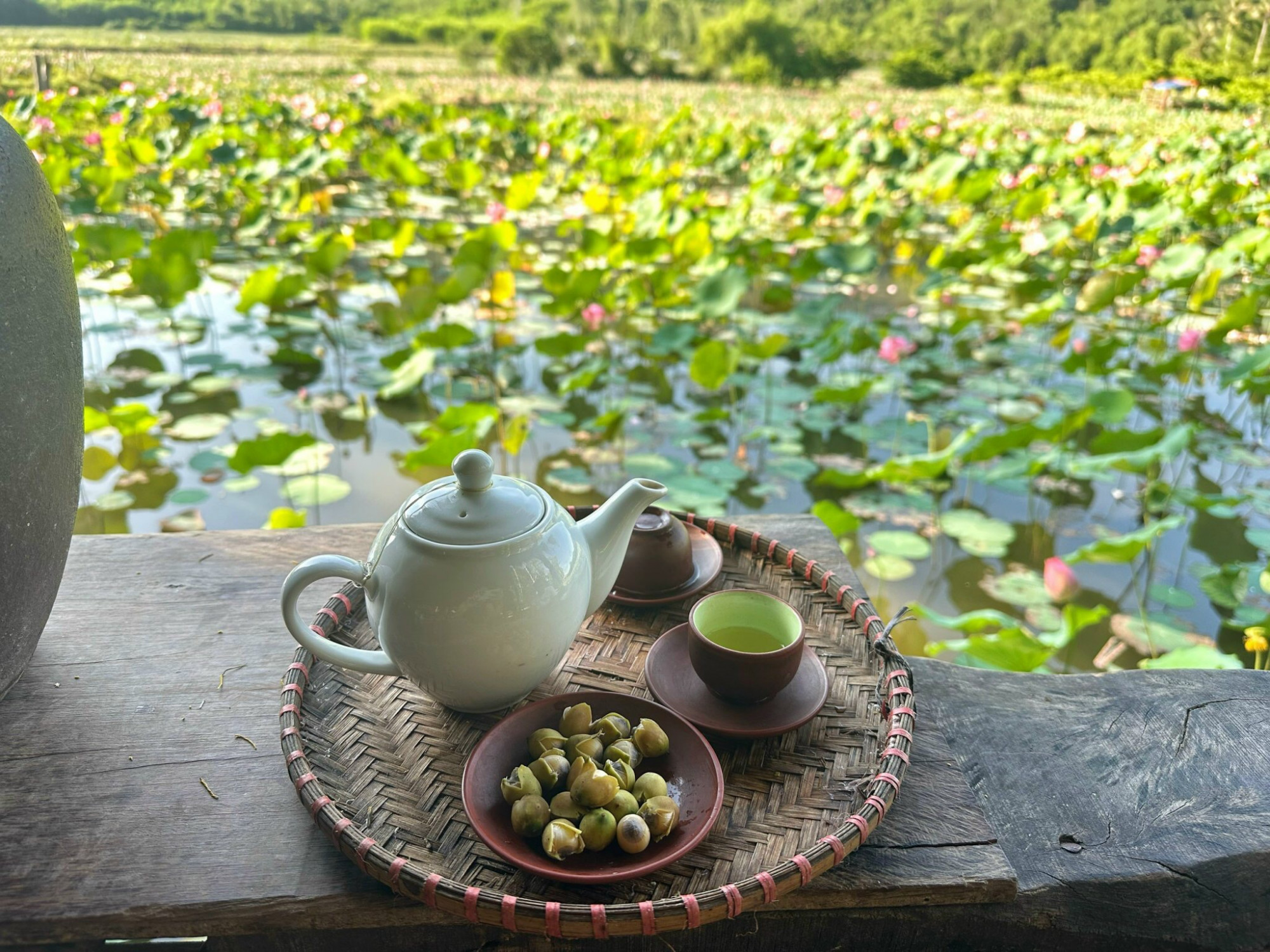 Sau khi ngắm bình minh, ăn sáng tại lều thì bạn có thể ghé làng sen của chú Hạnh gần đó, chỉ cách 1 km để thưởng thức trà tim sen được chú ủ từ đêm tới sáng.