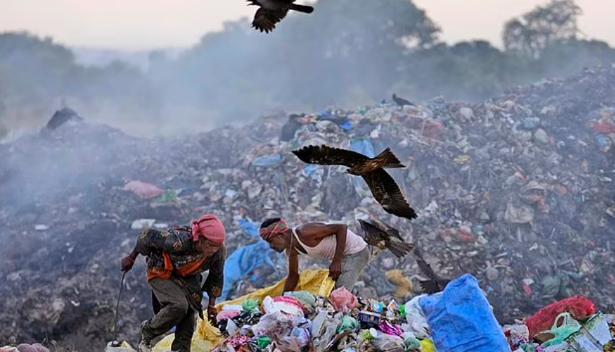  Mùi hôi thối của việc đốt rác bay xa hàng dặm từ bãi rác ở ngoại ô Jammu, tạo ra một chướng khí độc hại tiềm ẩn do rác thải nhựa, công nghiệp, y tế và các loại rác thải khác tạo ra bởi một thành phố có khoảng 740.000 dân. Nhưng một số ít người nhặt rác bỏ qua khói bụi và cái nóng ngột ngạt để phân loại rác, tìm kiếm bất cứ thứ gì họ có thể bán để kiếm được ít nhất tương đương 4 USD một ngày.