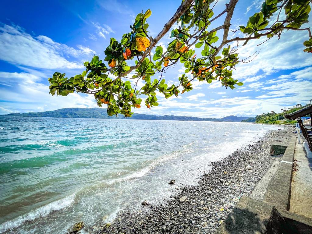 Vùng duyên hải Mabini là địa điểm lặn biển nổi tiếng của Philippines