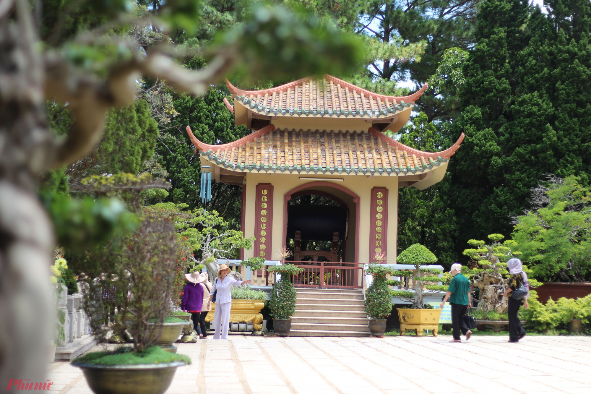 Tìm hiểu các loại hoa độc lạ, những cây cổ thụ hàng trăm năm tuổi cùng các mẫu vật tại Thiền viện Trúc Lâm, lang thang ở hồ Phóng sinh hay giữa các công trình thuộc thiền viện.