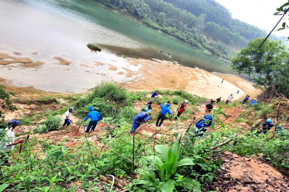 Người dân các xã ven sông Lam ở huyện Anh Sơn trồng tre, mét ngăn sạt lở - ẢNH: ĐĂNG KHOA