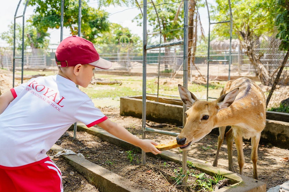 Tạo cơ hội gần gũi với thiên nhiên cũng là cách Royal School giáo dục tăng ý thức bảo vệ môi trường cho học sinh - Ảnh: Royal School