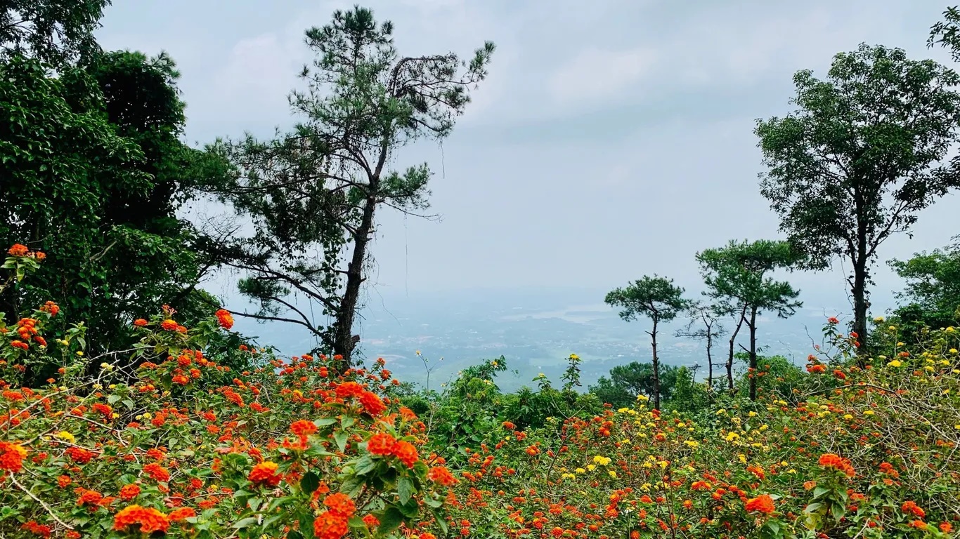 Vườn quốc gia Ba Vì - Minh Phu Hoang/ Shutterstock